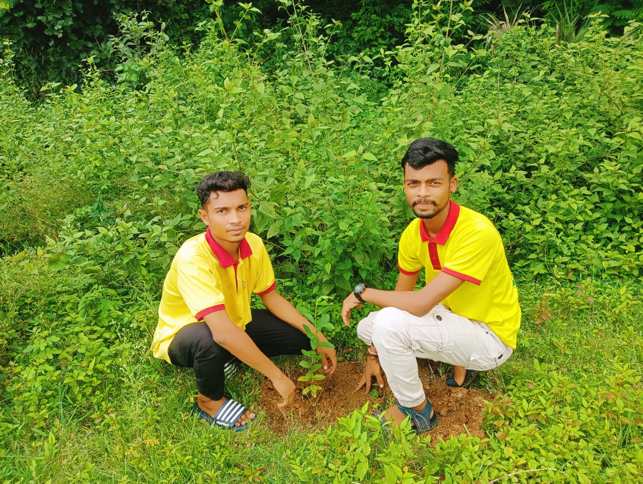 Niyatee Foundation