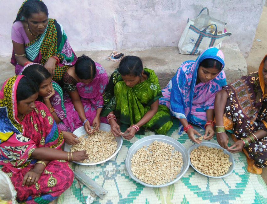 Niyatee Foundation